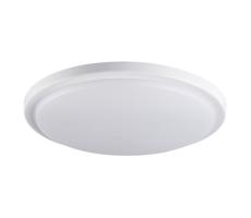 29161 - LED Kúpeľnové stropné svietidlo ORTE LED/24W/230V IP54