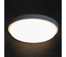 31498 - LED Kúpeľňové stropné svietidlo TOLU LED/18W/230V 4000K IP54 biela