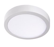 33541 - LED Stropné svietidlo CARSA LED/24W/230V 4000K biela pr. 30 cm