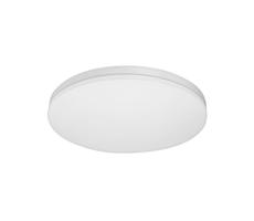 61000886 - LED Stropné svietidlo MONY LED/26W/230V 3000K