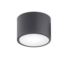 Argon Argon 3886 - LED Bodové svietidlo VICHY LED/9W/230V čierna