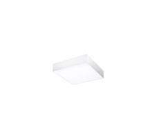 Azzardo Azzardo  - LED Stropné svietidlo MONZA SQUARE 1xLED/20W/230V