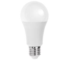 B.V. LED Žiarovka A60 E27/21W/230V 6500K -