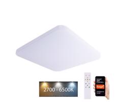 BRILAGI Brilagi - LED Stmievateľné stropné svietidlo SMART LED/28W/230V Wi-Fi Tuya + DO