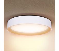 Brilagi Brilagi -LED Stmievateľné svietidlo LARIOS LED/60W/230V 3000-6500K ø 49 cm biela+DO