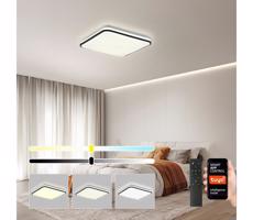 Brilagi Brilagi - LED Stmievateľné svietidlo SMART LED/28W/230V 40x40 cm Wi-Fi Tuya + DO