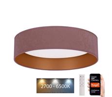 BRILAGI Brilagi - LED Stmievateľné svietidlo VELVET SMART LED/24W/230V Wi-Fi Tuya + DO