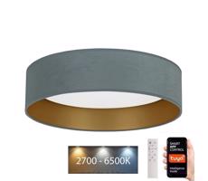 BRILAGI Brilagi - LED Stmievateľné svietidlo VELVET SMART LED/24W/230V Wi-Fi Tuya + DO