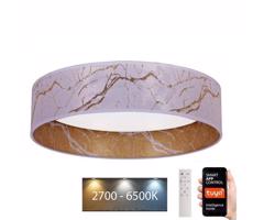 BRILAGI Brilagi - LED Stmievateľné svietidlo VELVET SMART LED/24W/230V Wi-Fi Tuya + DO