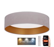 BRILAGI Brilagi - LED Stmievateľné svietidlo VELVET SMART LED/36W/230V Wi-Fi Tuya + DO