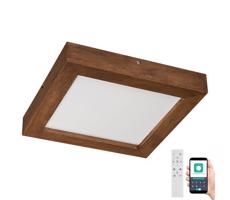 Brilagi Brilagi-LED Stmievateľné svietidlo WOODY FRAME LED/24W/230V dub 30x30 cm IP44 + DO