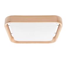 BRILAGI Brilagi - LED Stropné svietidlo MANAROLA CUBIC LED/24W/230V 3000-6500K + DO