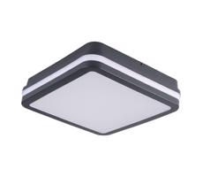 Brilagi Brilagi - LED Vonkajšie svietidlo BENE LED/18W/230V 22x22 cm IP54