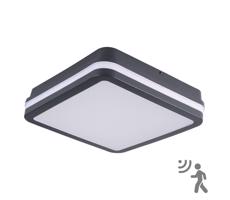 Brilagi Brilagi - LED Vonkajšie svietidlo so senzorom BENE LED/18W/230V 22x22 cm IP54