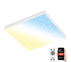 Brilo Brilo - LED Stmievateľné stropné svietidlo FRAMELESS LED/24W/230V Wi-Fi Tuya + DO