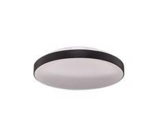 Briloner 3351-015 - LED Kúpeľňové stropné svietidlo MALBONA LED/13W/230V IP44