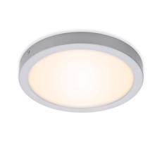 Briloner 7141-014 - LED Stropné svietidlo FIRE LED/21W/230V 3000K