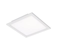 Briloner 7191-016 - LED Stropné svietidlo SIMPLE LED/12W/230V