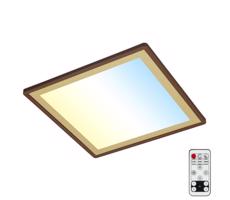 Briloner 7459-417 - LED Stmievateľné stropné svietidlo DECO LED/24W/230V + DO