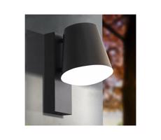 Eglo 33559 - LED Vonkajšie nástenné svietidlo CALDIERO-C 1xE27/9W/230V IP44