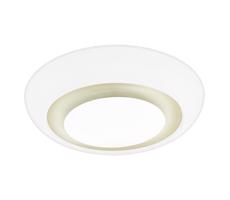 Eglo 97038 - LED Stropné svietidlo CANUMA 1xLED/21W/230V