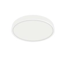 Emithor Emithor  - LED Kúpeľňové stropné svietidlo LENYS LED/12W/230V IP44