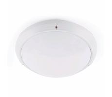 FARO Barcelona FARO 70722 - Vonkajšie stropné svietidlo DAKRON 1xE27/40W/230V IP65