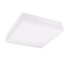 Greenlux LED Kúpeľňové stropné svietidlo LED/12W/230V 3000/4000/6000K 22x22 cm IP44