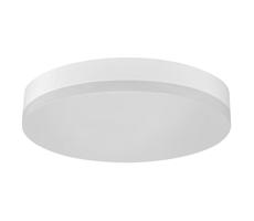 Greenlux LED Kúpeľňové stropné svietidlo SMART-S LED/18W/230V IP44