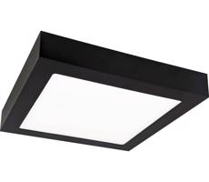 Greenlux LED Stropné svietidlo FENIX LED/12W/230V 2800K 17 cm