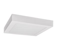 Greenlux LED Stropné svietidlo FENIX LED/12W/230V 3800K 17 cm