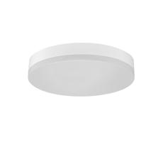 Greenlux LED Stropné svietidlo LED/12W/230V IP44