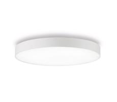 Ideal Lux Ideal Lux - LED Stropné svietidlo HALO LED/44W/230V