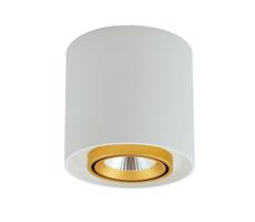 LED Bodové svietidlo XENO LED/15W/230V biela 1200lm