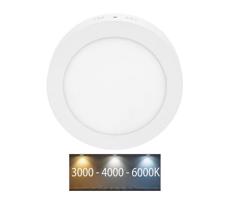 LED-CSL-CCT/12W/BI - LED Stropné svietidlo LADA LED/12W/230V IP44 biela