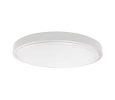 LED Kúpeľňové stropné svietidlo LED/18W/230V IP44 4000K pr. 25 cm biela