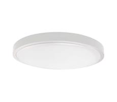 LED Kúpeľňové stropné svietidlo LED/18W/230V IP44 6500K pr. 25 cm biela