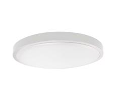 LED Kúpeľňové stropné svietidlo LED/24W/230V IP44 6500K pr. 29 cm biela