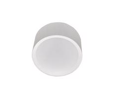 LED Kúpeľňové stropné svietidlo PERCI LED/30W/230V IP40 2700K biela