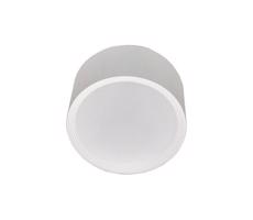 LED Kúpeľňové stropné svietidlo PERCI LED/30W/230V IP40 4000K biela