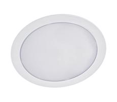 LED Podhľadové svietidlo ALGINE 2v1 LED/12W/230V 4000K