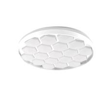 LED Stmievateľné stropné svietidlo LED/60W/230V 3000/4000/6500K + DO