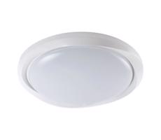 LED Stmievateľné stropné svietidlo LED/60W/230V 3000-6500K 49,2 cm biela + DO