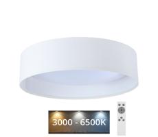 LED Stmievateľné stropné svietidlo SMART GALAXY LED/24W/230V biela + DO