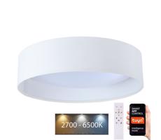 LED Stmievateľné svietidlo SMART GALAXY LED/24W/230V pr. 45 cm Wi-Fi Tuya + DO