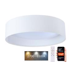 LED Stmievateľné svietidlo SMART GALAXY LED/36W/230V pr. 55 cm Wi-Fi Tuya + DO