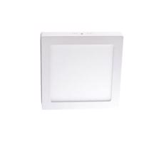 LED Stropné svietidlo LED/12W/230V 4000K 17,2x17,2 cm