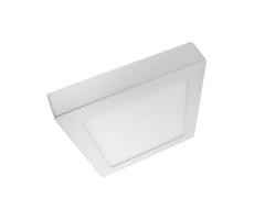 LED Stropné svietidlo LED/12W/230V 4200K