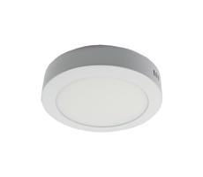 LED Stropné svietidlo LED/12W/230V 6000K