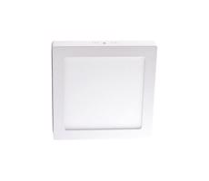 LED Stropné svietidlo LED/18W/230V 4000K 22,5x22,5 cm